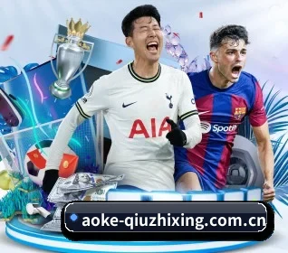 aoke-qiuzhixing.com.cn APP 界面